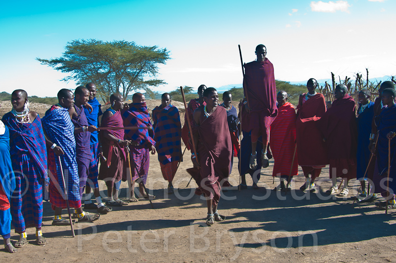 African Masai Women 15