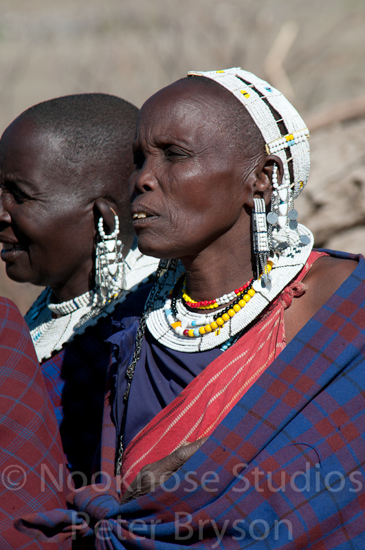African Masai Women 17