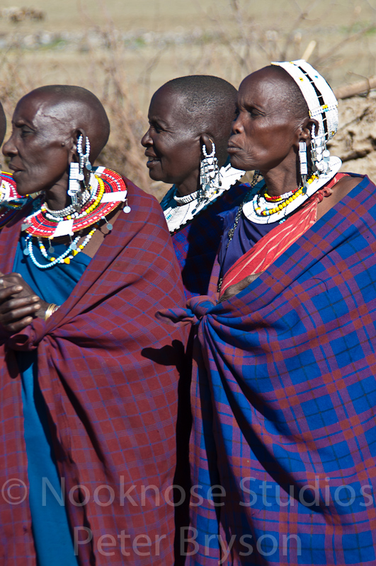 African Masai Women 18