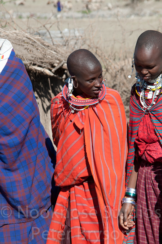 African Masai Women 19