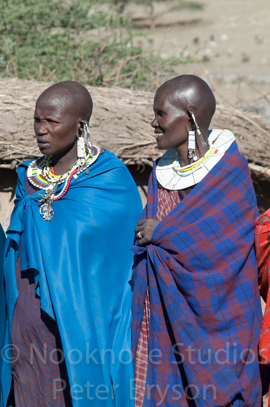 African Masai Women 20