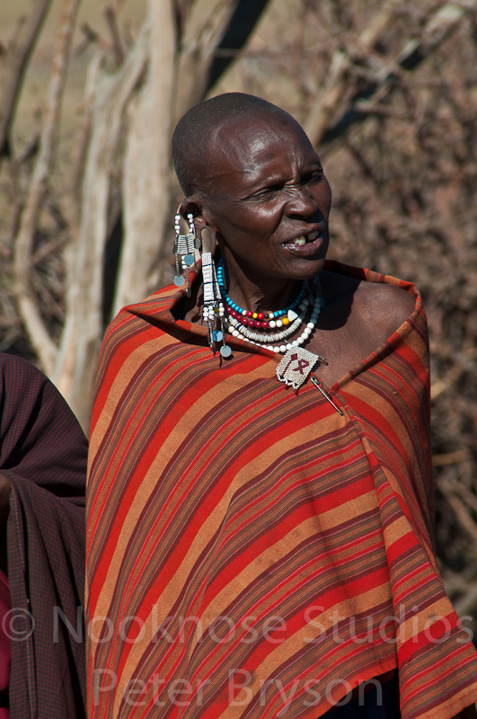 African Masai Women 23
