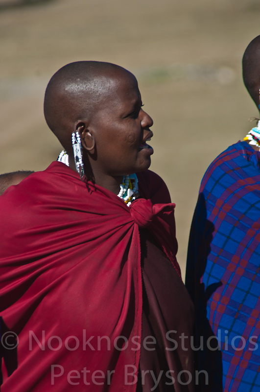 African Masai Women 24