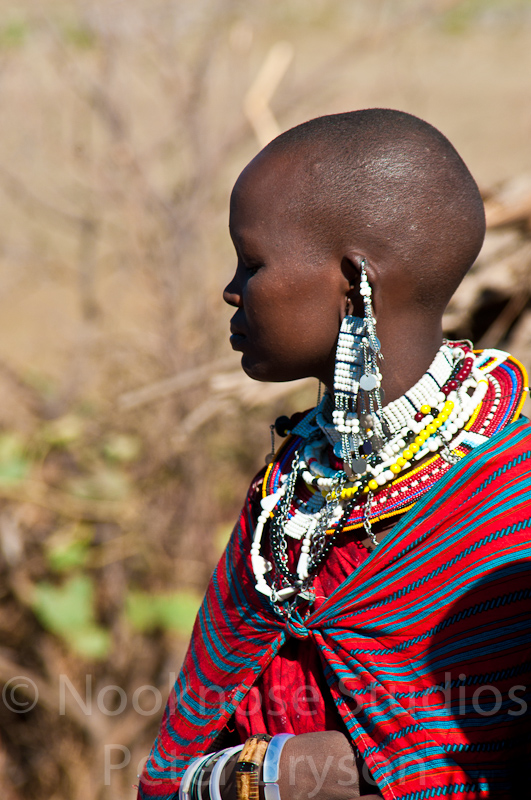 African Masai Women 35