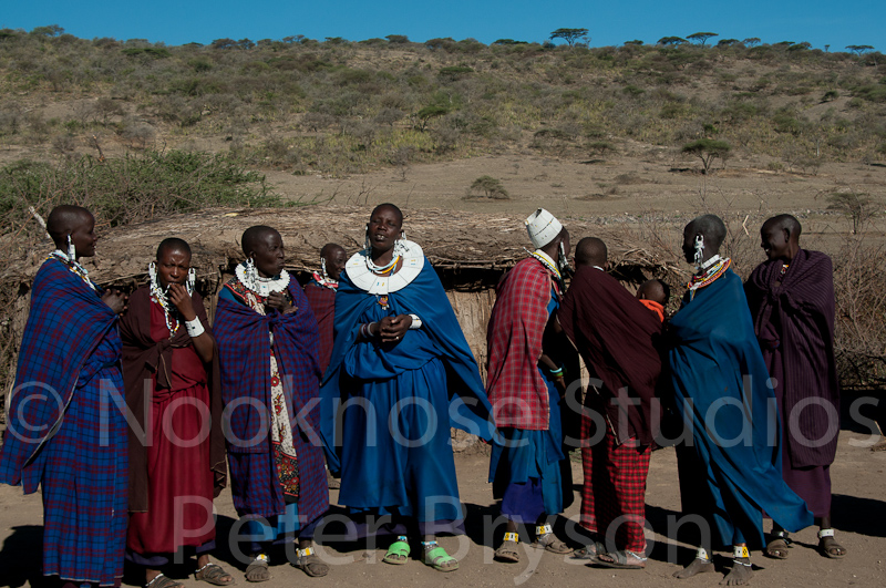African Masai Women 39
