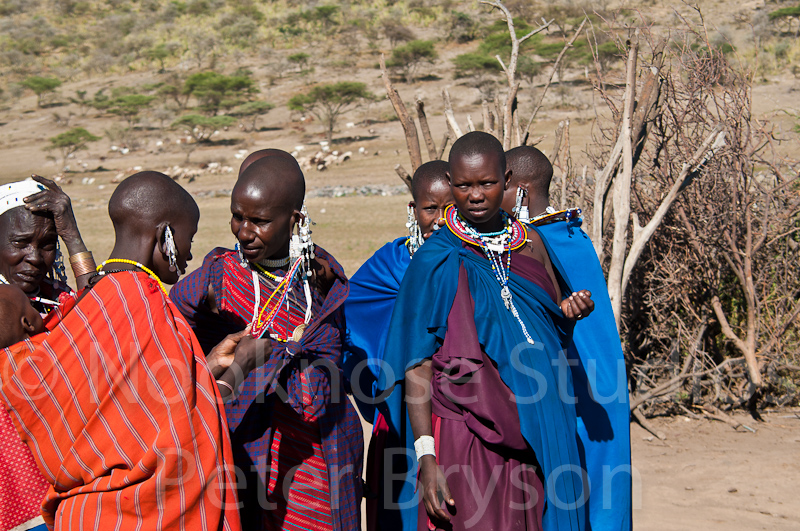 African Masai Women 40